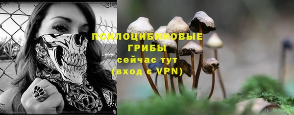 гидра Алзамай